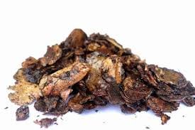 Cashew Nut Shell Cake